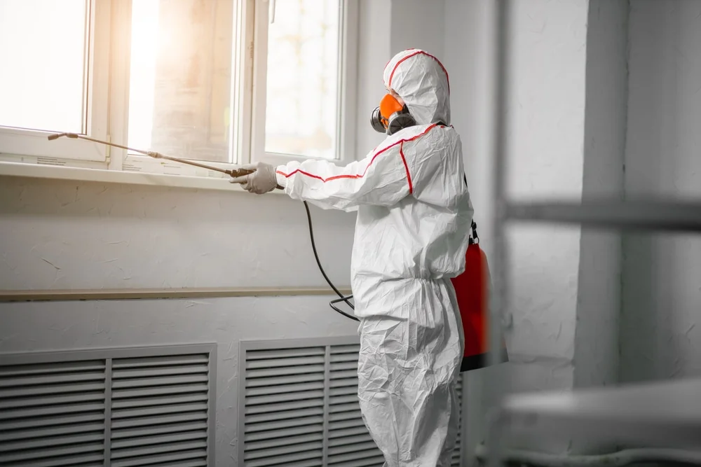 Professional mold remediation services in Micanopy, FL